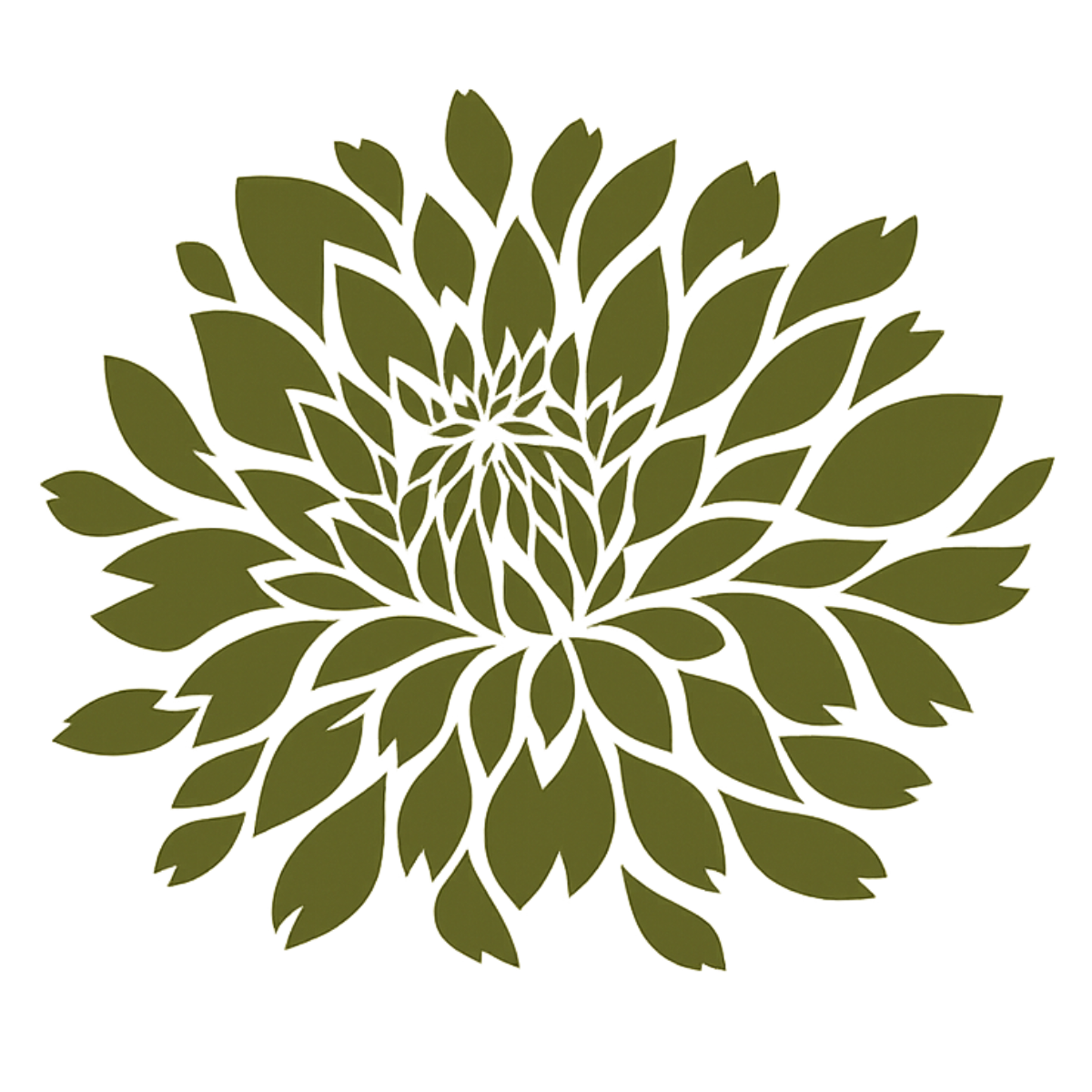 splendorandaromas.com