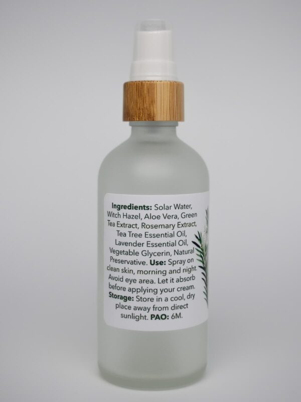 5.1 Spray Facial Purificante (Purifying Facial Spray)
