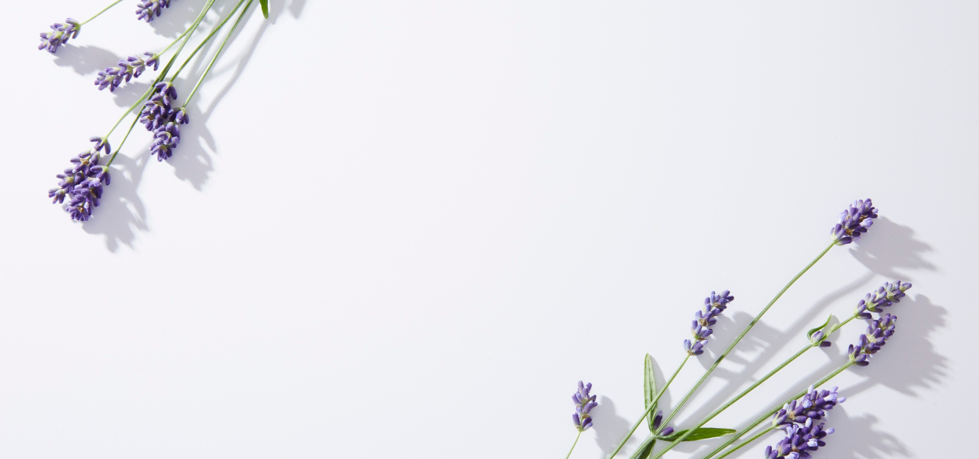 PRODUCTOS BANNER Calm & Restore Ritual